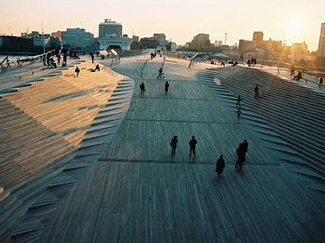 屋上庭園