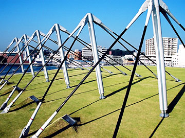 屋上庭園