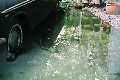 20051104-reflect02.jpg