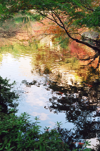 20081207-reflect05.jpg