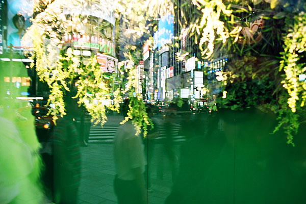 20090629-green05.jpg