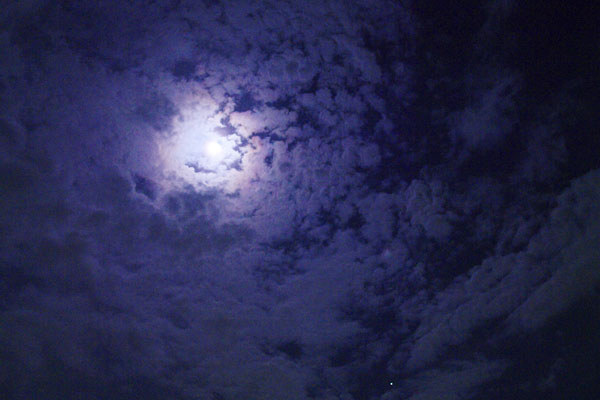 20090910-blue_purple.jpg