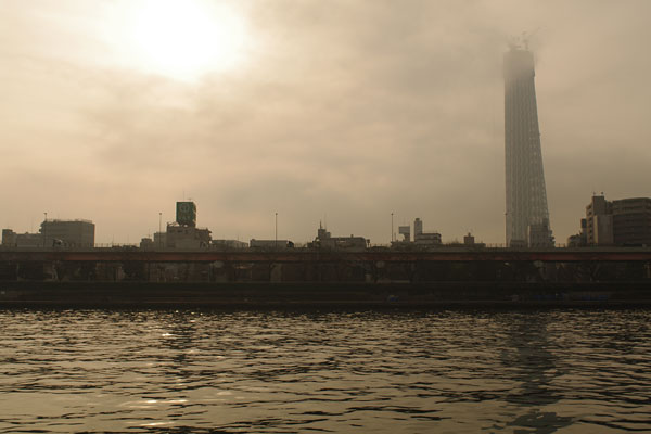 20100313-morning-mist02.jpg