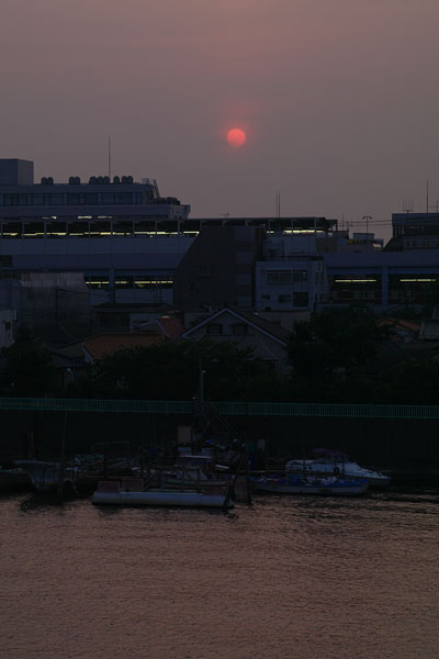 20100811-sunset08.jpg