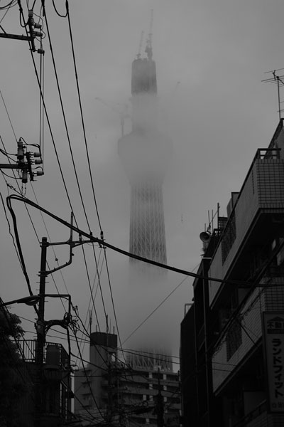 20100929-fog01.jpg