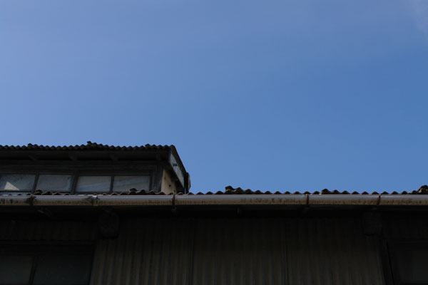 20110125-the_edge_of_the_eaves.jpg