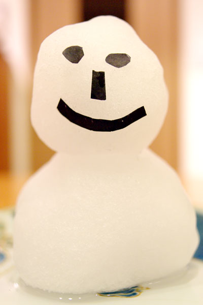 20110214-snowman04.jpg