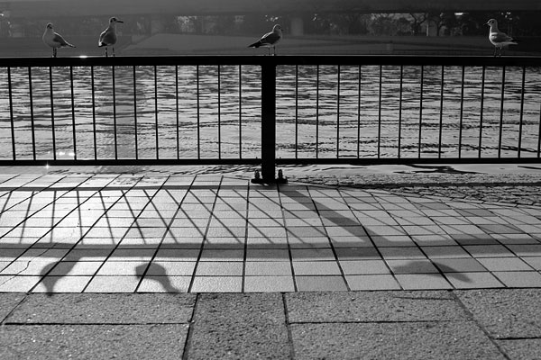 The Sumida River, Tokyo, Japan