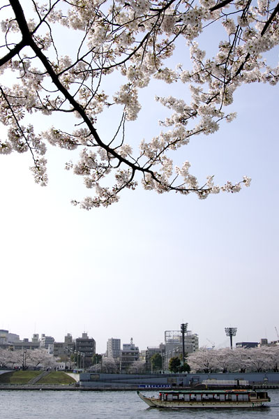 The Sumida River, Tokyo, Japan