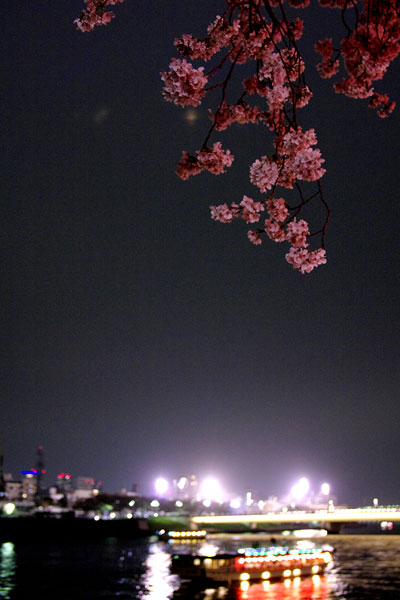 The Sumida River, Tokyo, Japan