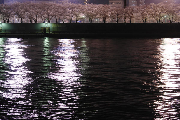 The Sumida River, Tokyo, Japan