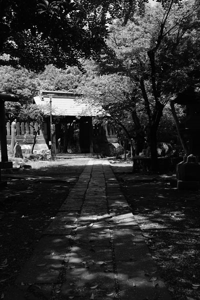 Mimeguri Shinto Shrine, Mukoujima, Tokyo, Japan