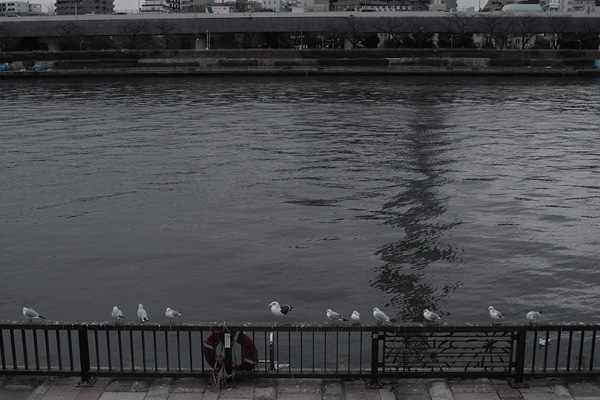 The Sumida River, Tokyo, Japan